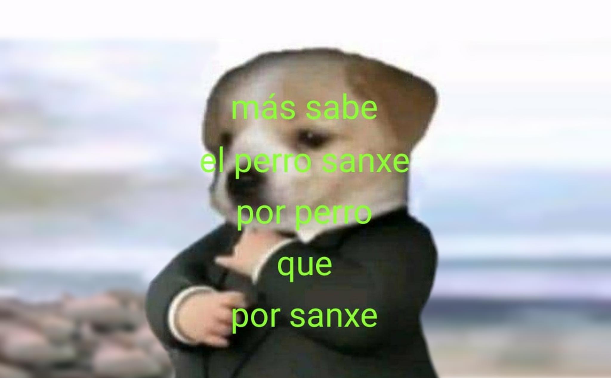 Más sabe el perro sanxe por perro que por sanxe